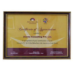 Certificate of Excellence Birla Sunlife